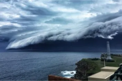 ×¦×•× ×ž×™