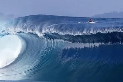 ×¦×•× ×ž×™