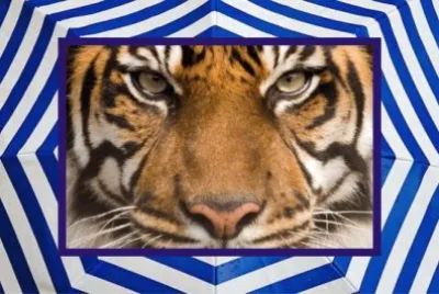 JSPuzzles-åœ–ç‰‡å»Š (çµ„åˆ)