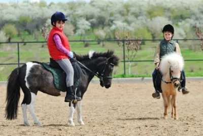 ×¡×•×¡×™×