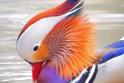 natural