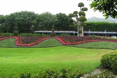 פאזל של ×¤×¨×—×™×