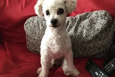 Tobyson