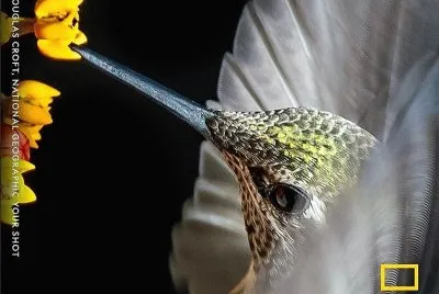 natural