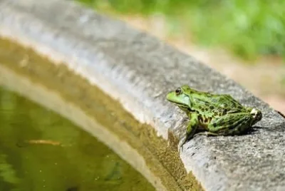 Imagem jigsaw puzzle