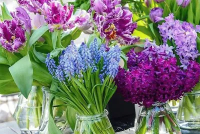 flores