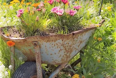 flores