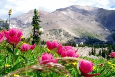 montaÃ±a jigsaw puzzle