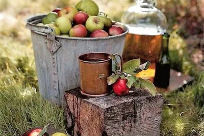 frutas jigsaw puzzle