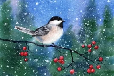 pt oiseau