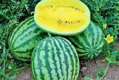 frutas