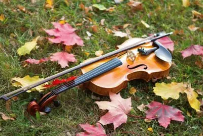 Imagem jigsaw puzzle