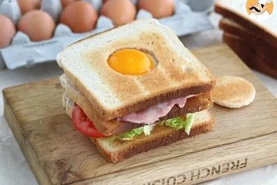 Egg Sandwich