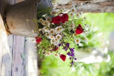 flores