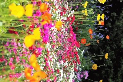 flores jigsaw puzzle