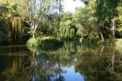 Etang dans le Lot