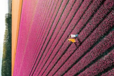 cores