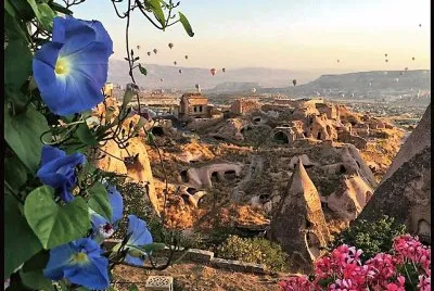 flores