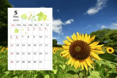 2019.05