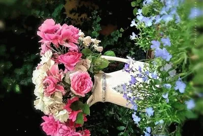 flores