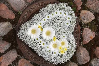 flores