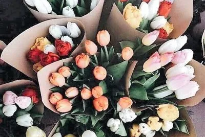flores