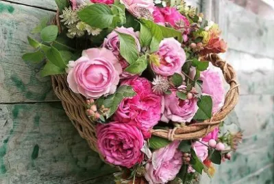 flores