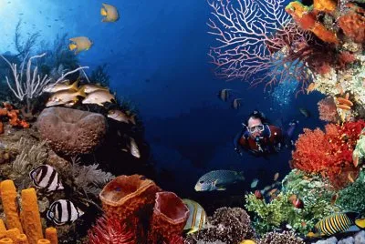HI Kosh in SCUBA
