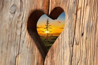 Imagem jigsaw puzzle