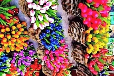 flores