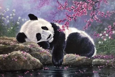 panda