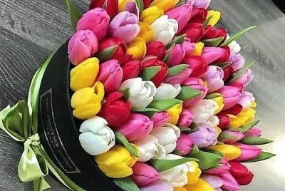 flores