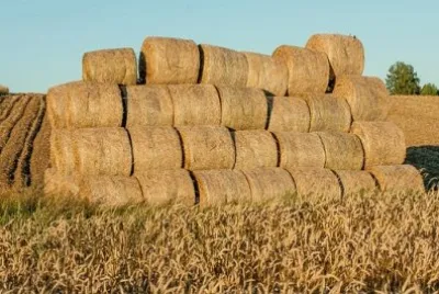 Imagem jigsaw puzzle