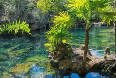 Imagem jigsaw puzzle