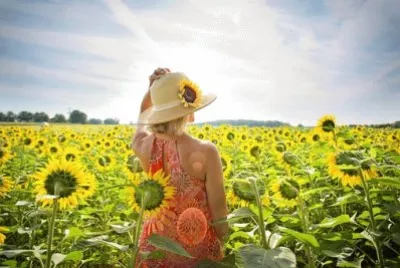 Imagem jigsaw puzzle
