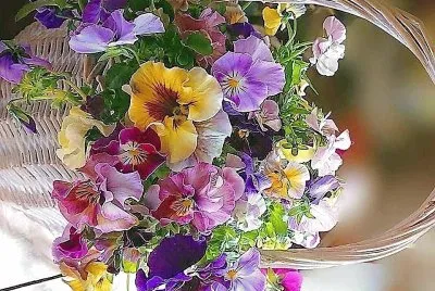 flores