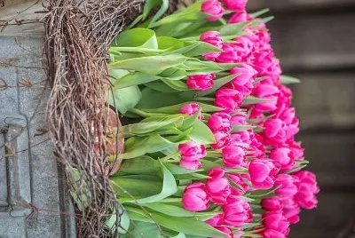 flores