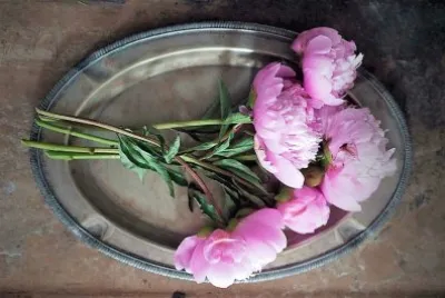 flores