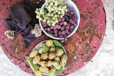 frutas