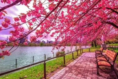 spring #209 jigsaw puzzle