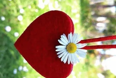flores