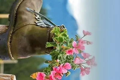 flores