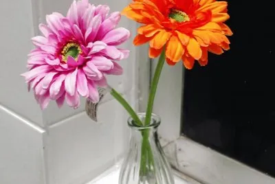 cores