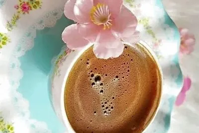flores