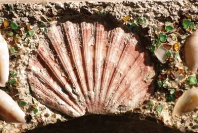 gran canaria