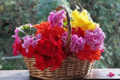 Imagem jigsaw puzzle