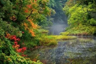 Imagem jigsaw puzzle