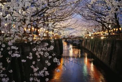 Imagem jigsaw puzzle