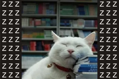 å¯æ„›å‹•ç‰© jigsaw puzzle