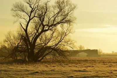 Imagem jigsaw puzzle